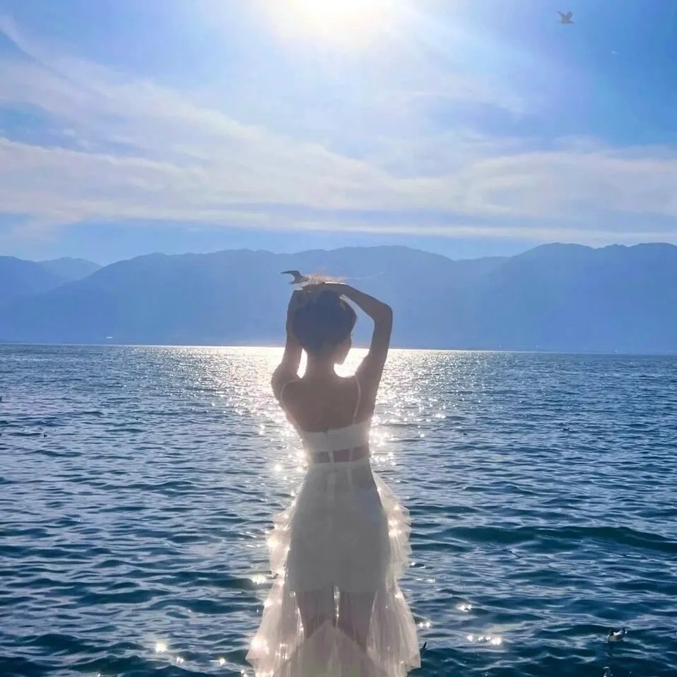 浴血玫瑰